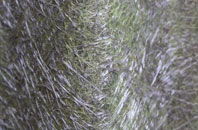 Lauder fibreglass roof work